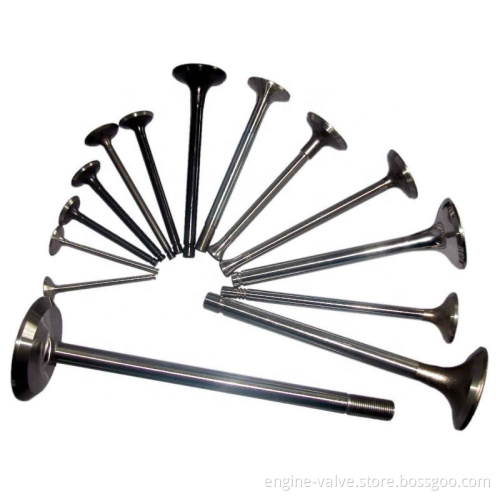Truck Engine Valves: Specialized Truck Parts